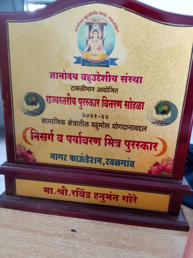 State Award Certificate