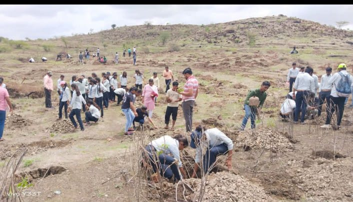 Rural Area Activity 3